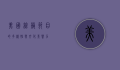 美国综艺节目的多样性与文化影响力