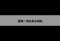 蛋鸭一天吃多少饲料