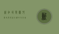 新加坡荷兰村，历史与现代交织的文化瑰宝