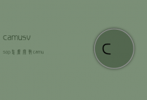 camusvsop怎么开瓶（camus酒怎么开）