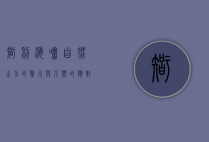 智利海啸，自然之力的警示与人类的应对