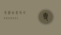叟猴，自然界的智慧与灵性象征