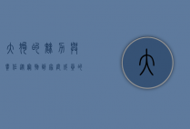 大狗的魅力与责任，从宠物到家庭成员的转变