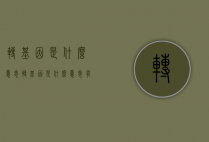 转基因是什么意思（转基因是什么意思有什么危害）