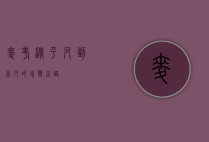 麦考，从平凡到非凡的蜕变之路