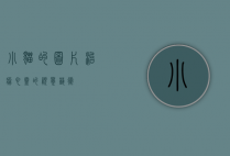 小猫的图片，治愈心灵的视觉艺术