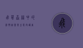 飞鼠，森林中的滑翔精灵与生态守护者