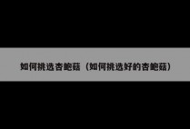 如何挑选杏鲍菇（如何挑选好的杏鲍菇）