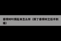香樟树叶摸起来怎么样（摸了香樟树之后手刺痛）