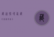 藏迷，探寻西藏的神秘与魅力