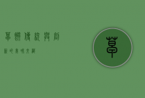 草饼，传统与创新的美味交织
