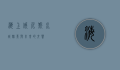 海上威尼斯，水城魅影与未来的交响