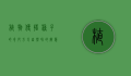 植物传播种子的奇妙方式，自然界的智慧与策略
