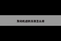 发动机进防冻液怎么修
