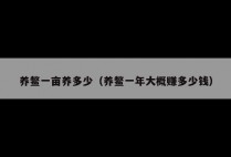 养鳖一亩养多少（养鳖一年大概赚多少钱）