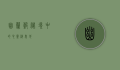 幽兰谷，秘境中的心灵栖息地