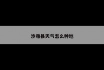 沙雅县天气怎么种地