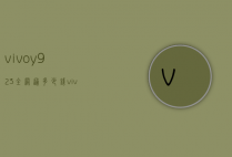 vivoy923全网通多少钱（vivoy923手机报价）