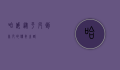 哈威，从平凡到非凡的传奇之路