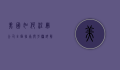美国如何注册公司，全面指南与步骤详解