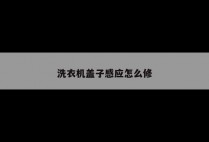 洗衣机盖子感应怎么修