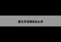 蕙兰开花期间怎么养