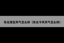 东北现在天气怎么样（东北今天天气怎么样）