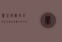 兰芝隔离是什么质地（兰芝隔离的质地是什么样的）