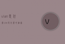 vlan是什么（vlan是什么的缩写）