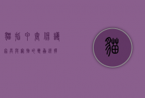 猫指甲套，保护家具与宠物的双赢选择