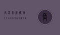 长春卓展购物中心，城市商业新地标的崛起与繁荣