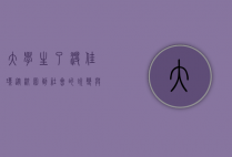 大学生了没佳琪，从校园到社会的蜕变与成长
