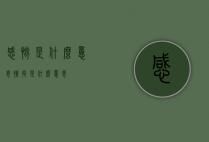 感慨是什么意思（搓捻是什么意思）