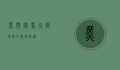黑狗，从象征到现实的深度解读