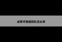 必牵手挽回团队怎么样