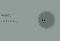 vignette相机怎么用（vignette相机专业版）