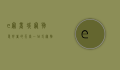 e宠商城，宠物爱好者的天堂，一站式宠物购物体验