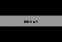 柳树怎么种