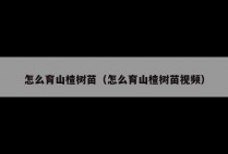 怎么育山楂树苗（怎么育山楂树苗视频）