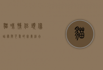 猫咪情侣头像，甜蜜与可爱的完美结合