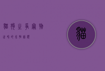 猫狗之争，宠物世界的永恒话题