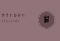 猫娘计划，科技与情感的跨界融合