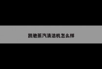 凯驰蒸汽清洁机怎么样