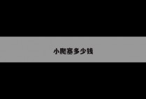 小爬塞多少钱