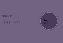 soigne什么牌子（soeyi是什么牌子）