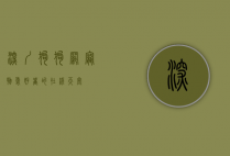 深圳狗狗网，宠物爱好者的在线天堂