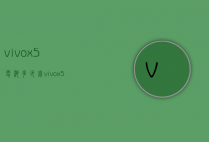 vivox5电池多少钱（vivox5电池多少钱一个）