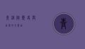 青铜峡，历史与自然的交响曲