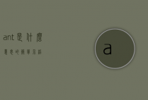 ant是什么意思的简单介绍