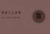 猫样人生，从猫咪身上学到的生活智慧